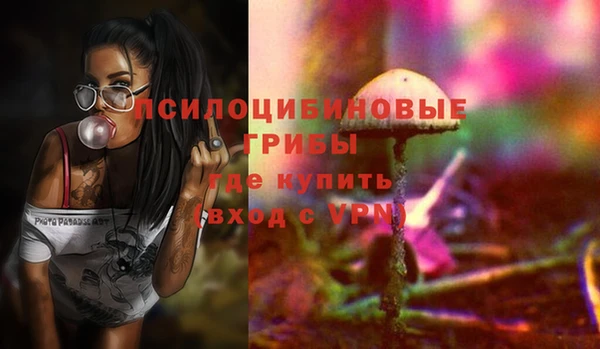 ECSTASY Алексеевка
