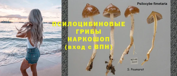 твердый Алзамай