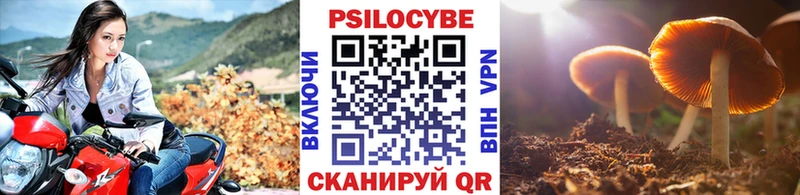 продажа наркотиков  Южно-Сахалинск  Псилоцибиновые грибы GOLDEN TEACHER 